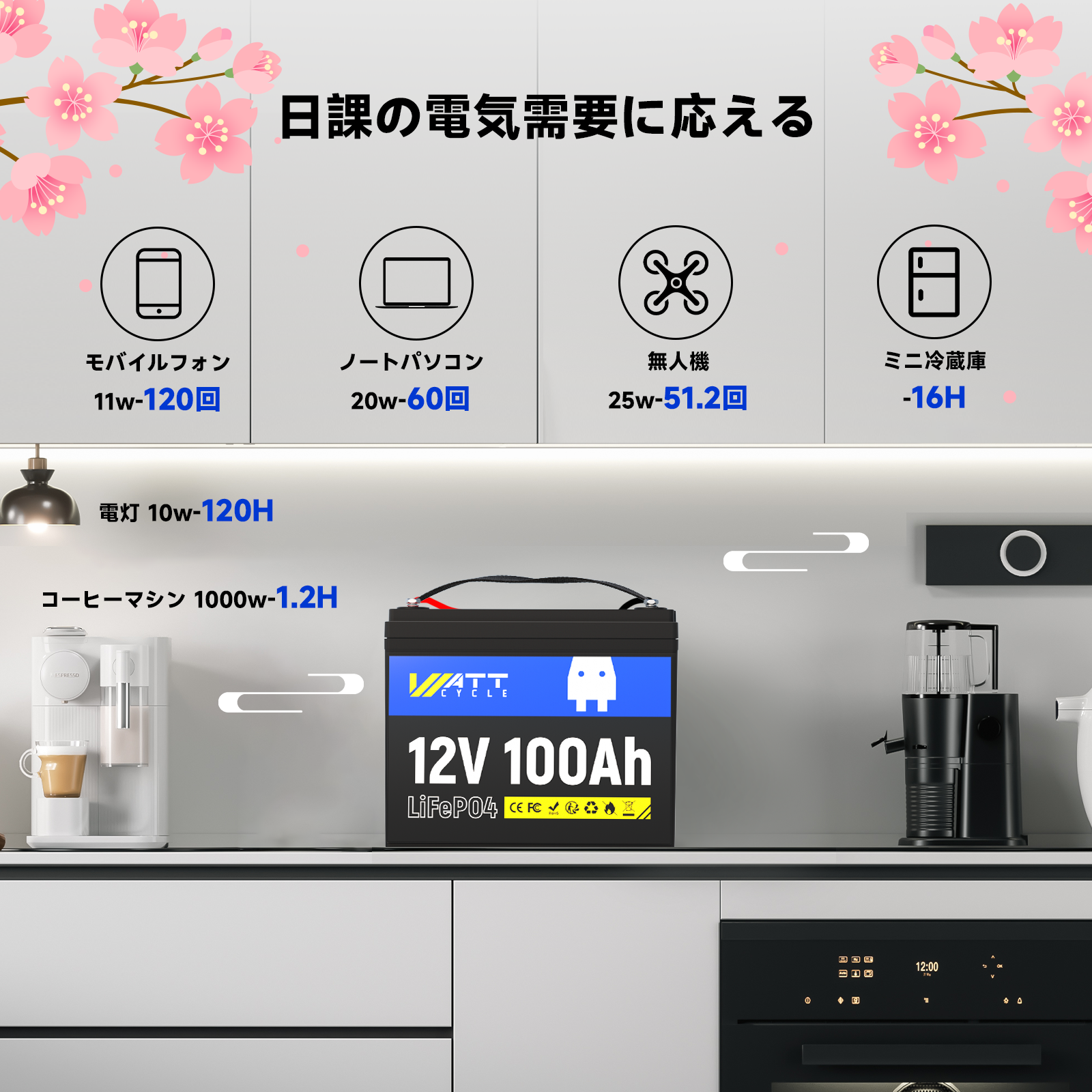 12V 100Ah LiFePO4バッテリー