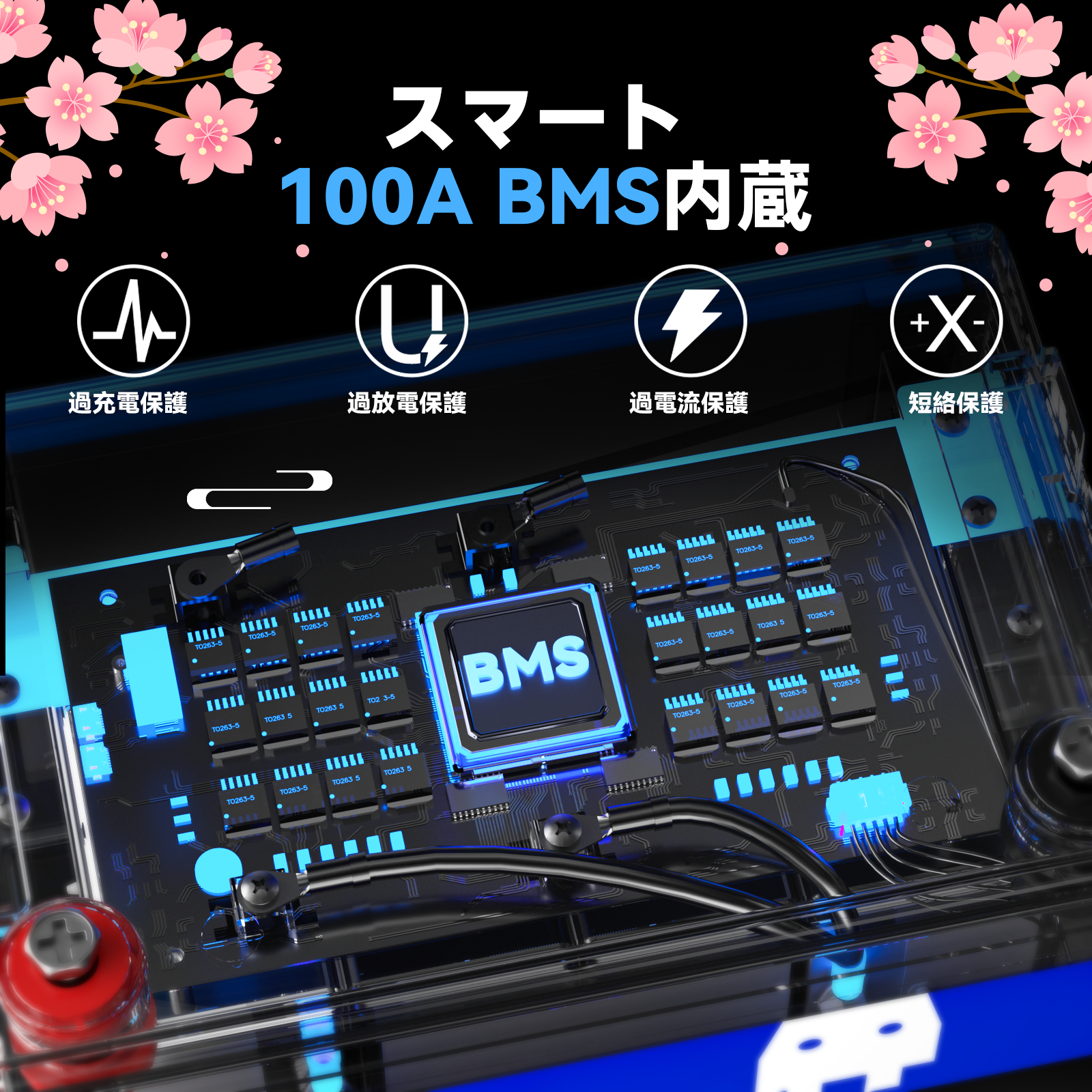 12V 100Ah LiFePO4バッテリー