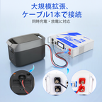 WattLINK - EcoFlow Delta 2/3シリーズ PPS拡張アダプタケーブル（M8-XT150タイプ）