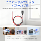 WattLINK - EcoFlow Delta 2/3シリーズ PPS拡張アダプタケーブル（M8-XT150タイプ）