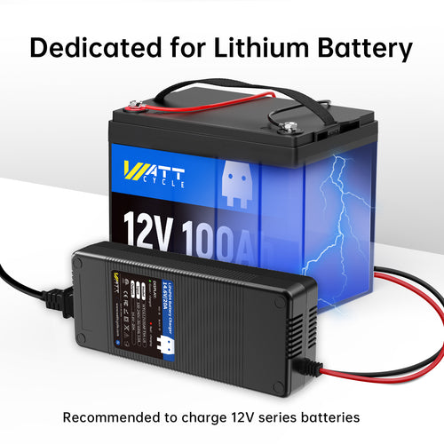 12V (14.6V) 20A プラスチックケース LiFePO₄バッテリー充電器